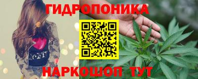 сатива Заводоуковск
