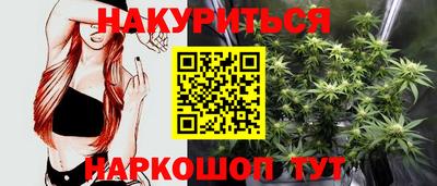 сатива Заводоуковск