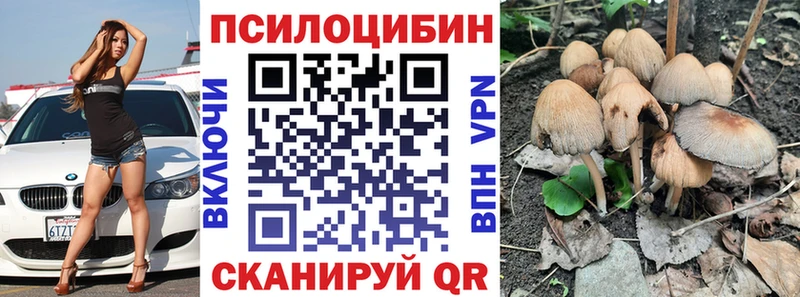 Галлюциногенные грибы Psilocybe  Краснокаменск 
