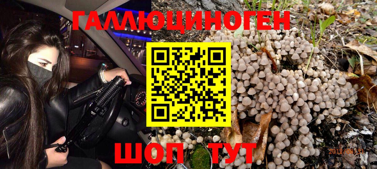 Галлюциногенные грибы мицелий Краснокаменск